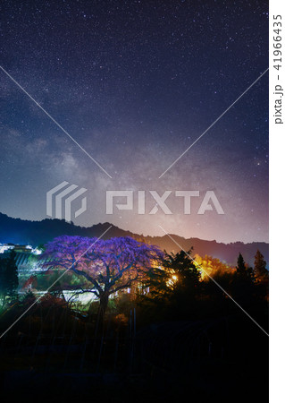 黒船桜星景 41966435