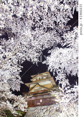 諏訪高島城の夜桜ライトアップ 41966835