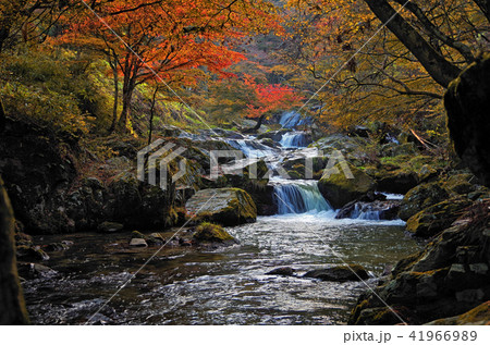 江竜田の滝 41966989