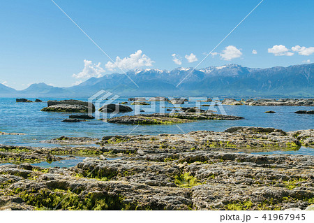 Beauty sea coast at Kaikoura beach 41967945