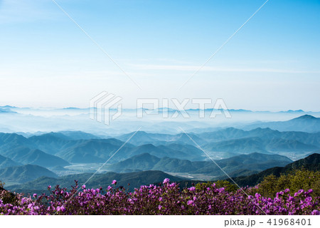 ツツジ 雲海 山の写真素材