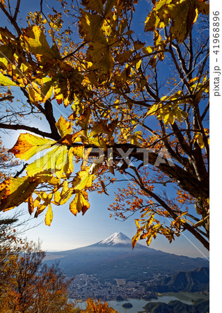 紅葉の御坂山地・黒岳から見る富士山 41968896