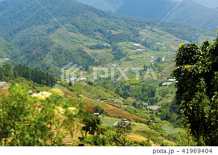 キナバル山の中腹にある村 ボルネオ島 キナバル山の中腹にある村 ボルネオ島 41969404