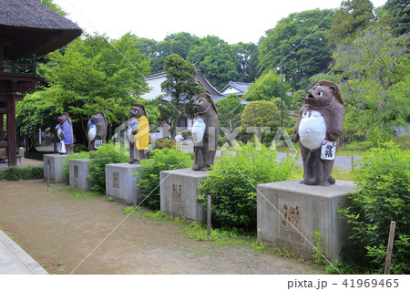 茂林寺　たぬき　館林 41969465