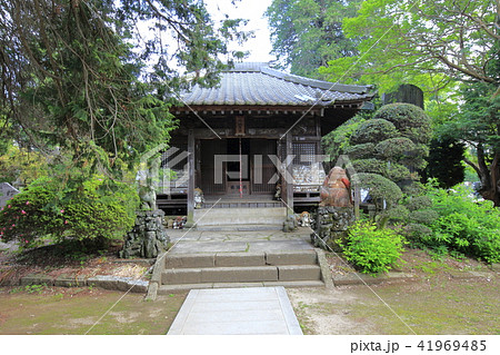 茂林寺　たぬき　館林 41969485