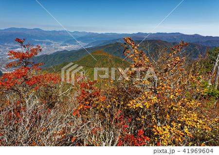 紅葉の釈迦ヶ岳から見る甲府盆地と奥秩父・大菩薩の山並み 41969604
