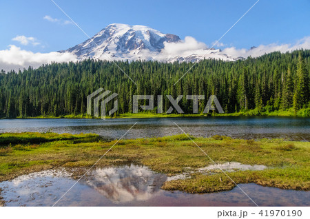 Mount Rainier reflected in a lake 41970190