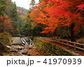 寂地峡の紅葉 41970939
