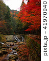 寂地峡の紅葉 41970940