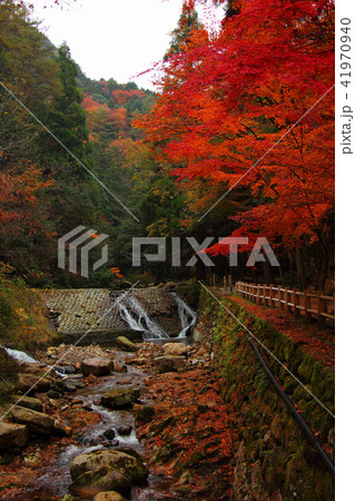 寂地峡の紅葉の写真素材