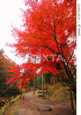 寂地峡の紅葉の写真素材