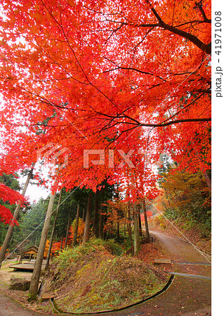 寂地峡の紅葉 寂地峡の紅葉 41971008