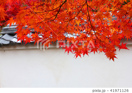 漢陽寺　紅葉 41971126