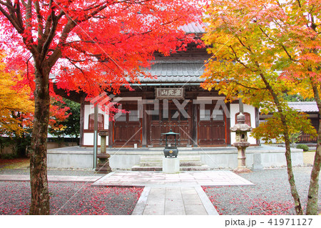 漢陽寺　紅葉 41971127