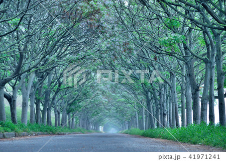 爽快 爽やか リフレッシュ 41971241