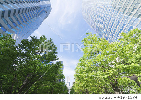 東京風景・高層ビル・新緑 東京風景・高層ビル・新緑 41971574