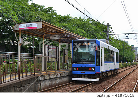 都電(さくらトラム) 荒川二丁目駅にて 8900形 都電(さくらトラム) 荒川二丁目駅にて 8900形 41971619