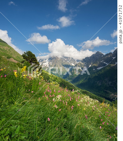 Sunset in the mountain valley 41971752