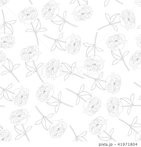 Peony Flower Outline Seamless Background Peony Flower Outline Seamless Background 41971804
