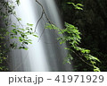 初夏の流れ 41971929