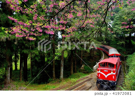 電車 列車 イベント列車 41972081