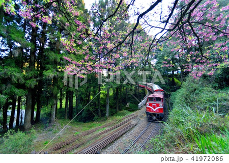 電車 列車 イベント列車 41972086