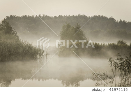 Misty morning 41973116