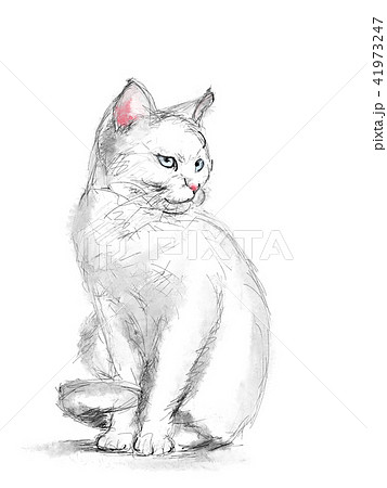 白猫 イラストのイラスト素材 [41973247] - PIXTA