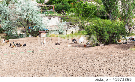 country garden in Goreme National Park country garden in Goreme National Park 41973869