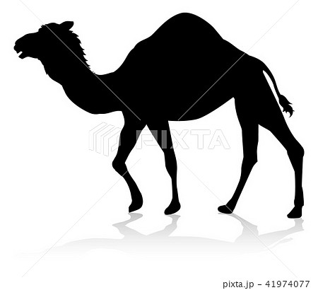 Camel Animal Silhouetteのイラスト素材 41974077 Pixta
