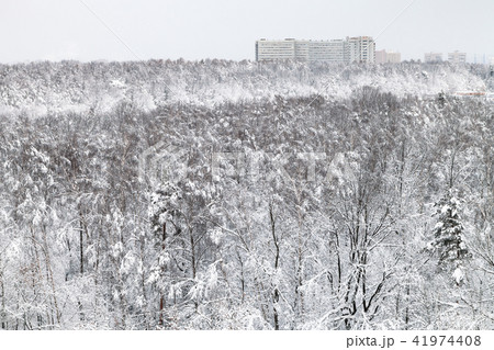 snow-covered urban park in winter evening snow-covered urban park in winter evening 41974408