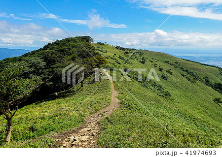 夏の緑豊かな山の風景写真 鈴鹿の竜ヶ岳登山 夏の緑豊かな山の風景写真 鈴鹿の竜ヶ岳登山 41974693