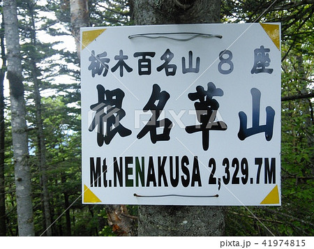 根名草山山名板 41974815