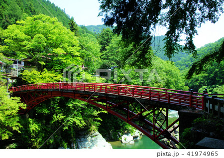 奥秩父、新緑に架かる橋 41974965