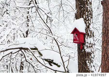 red bird house in winter forest 41974997