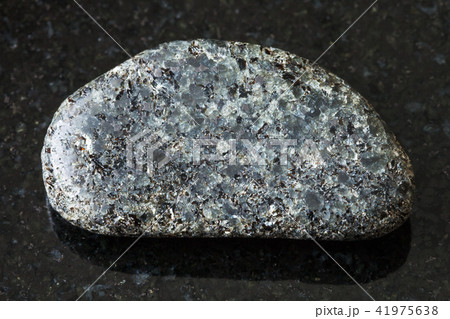 polished Peridotite stone with Phlogopite on black 41975638