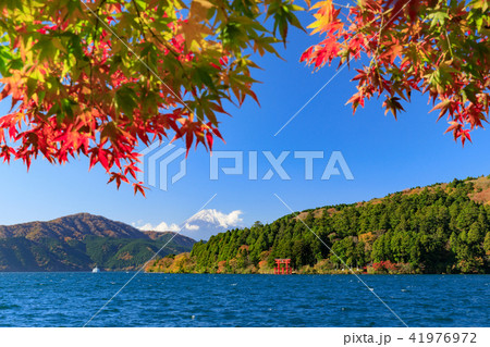 芦ノ湖から見る富士山 41976972