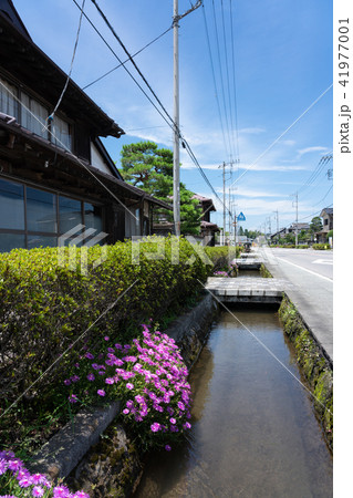 栃木県宇都宮市 奥州街道 白澤宿(6月) 栃木県宇都宮市 奥州街道 白澤宿(6月) 41977001