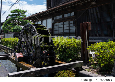 栃木県宇都宮市　奥州街道　白澤宿（6月） 41977003