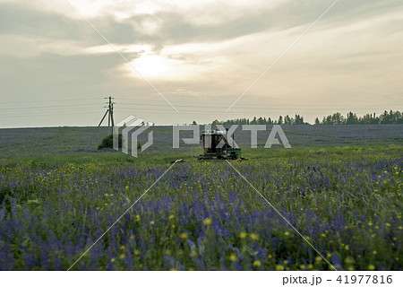 landscape with a machine for harvesting 41977816