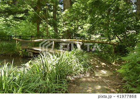 仙台野草園　園内 41977868