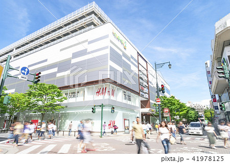 ラブラ2とガルベストン通り 41978125