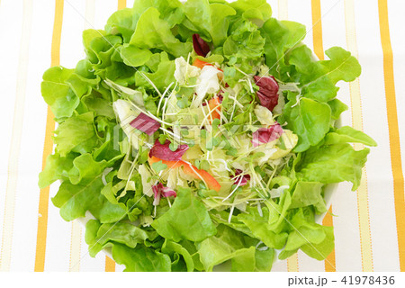 新鮮なサラダ 41978436