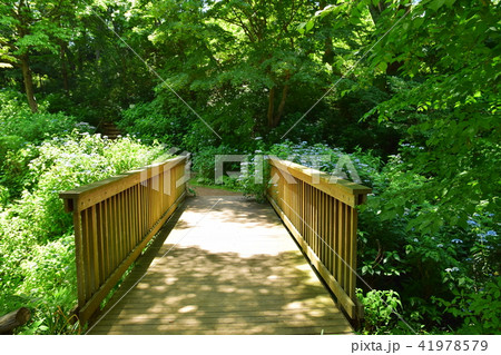 仙台野草園　園内 41978579