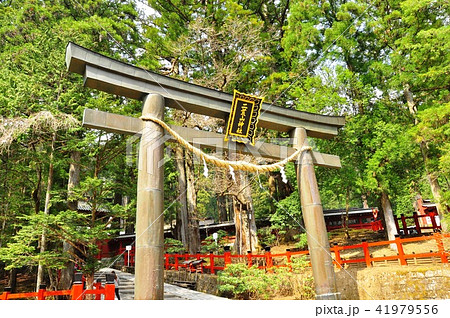 日光二荒山神社の神門前鳥居(ななめ) 日光二荒山神社の神門前鳥居(ななめ) 41979556
