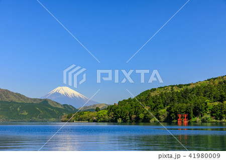 芦ノ湖_新緑と富士山 芦ノ湖_新緑と富士山 41980009