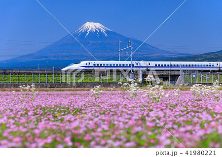 静岡_富士山と新幹線 41980221