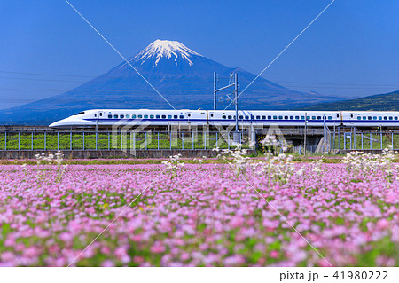 静岡_富士山と新幹線 41980222