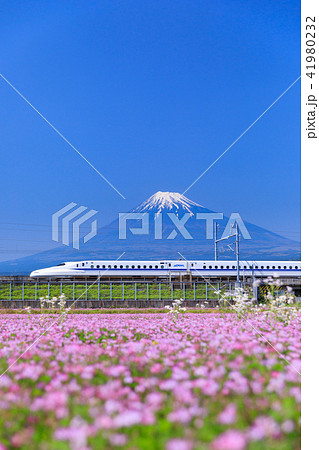 静岡_富士山と新幹線 41980232