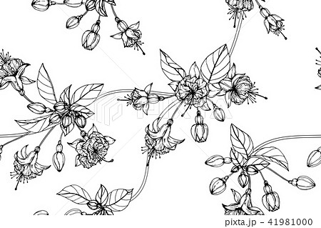 Seamless Fuchsia flower pattern background. Seamless Fuchsia flower pattern background. 41981000